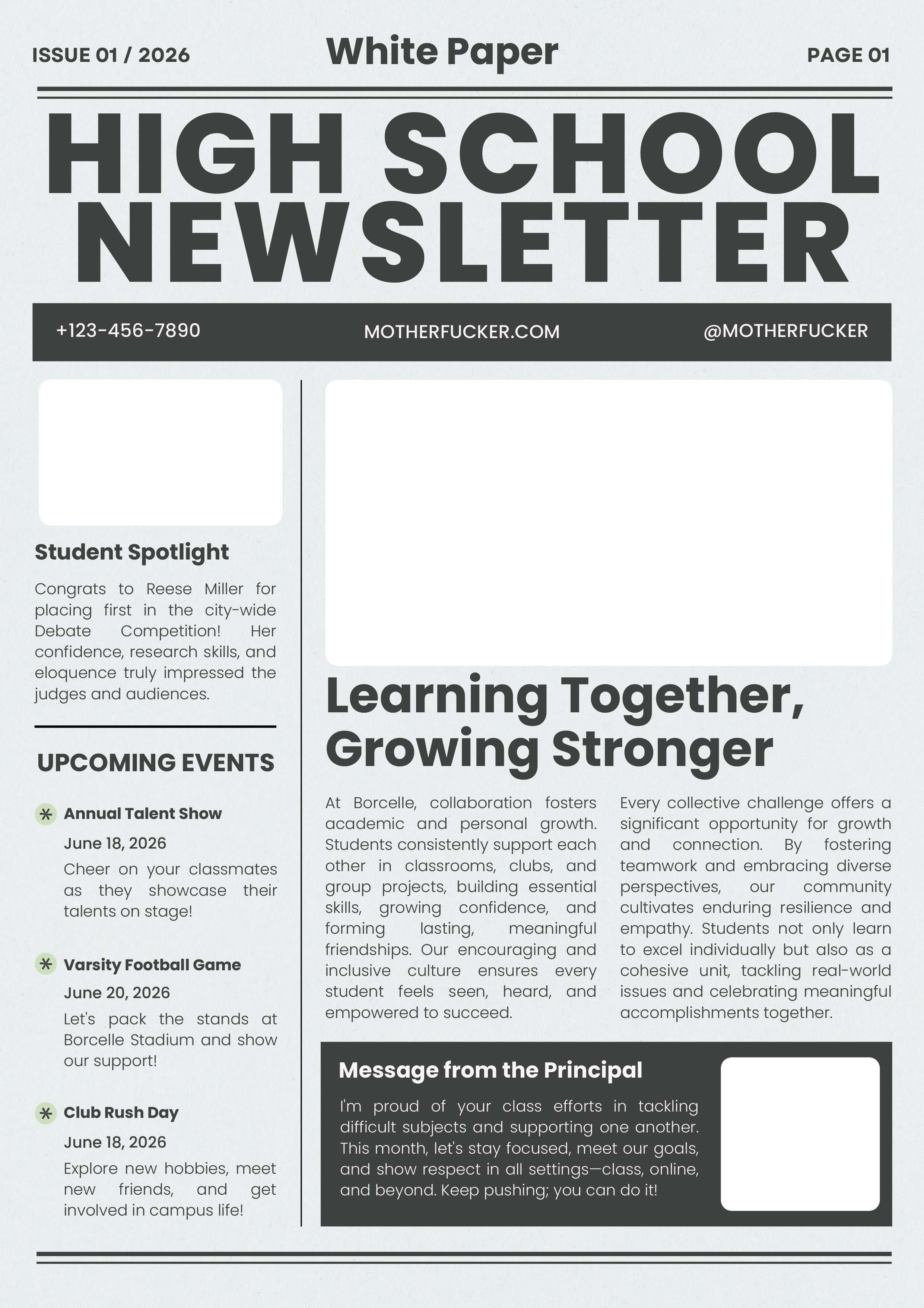 Newspaper